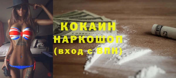стафф Алексин
