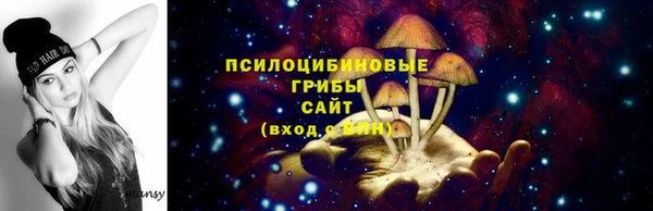 стафф Алексин