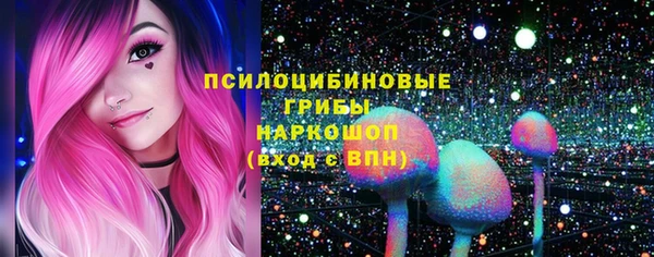ECSTASY Алексеевка