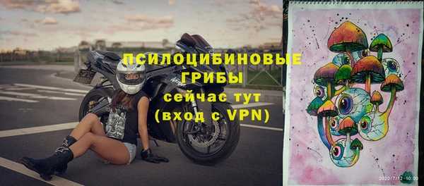 стафф Алексин