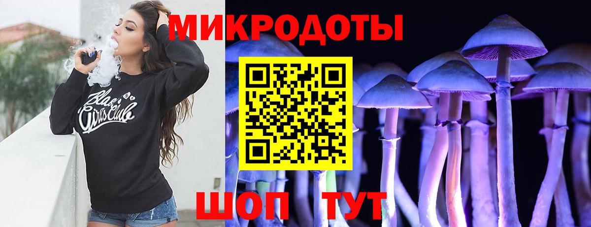как найти закладки  Вход с VPN  Тулун  Галлюциногенные грибы прущие грибы 